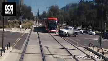 Footage of these light rail near misses may be funny to watch but authorities warn the endings could have been 'catastrophic'