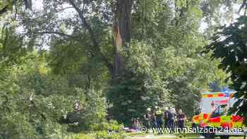 Von herabstürzendem Ast begraben: Frau (27) im Englischen Garten schwer verletzt