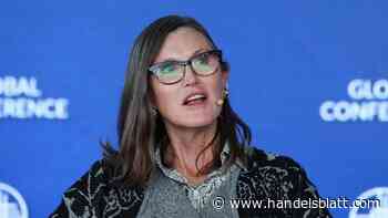 Ark Invest: Ausverkauf bei Tech-Aktien: Diese vier Aktien kauft Cathie Wood trotzdem