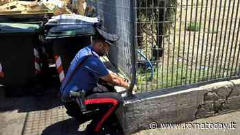 Roma, i neo maggiorenni che "lavorano" vendendo crack e cocaina nel quartiere