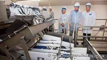 Morrisons opens ‘UK’s largest fish freezing centre’ after £12.8m investment