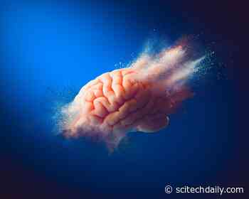 New Strategies To Combat Dementia: 14 Risk Factors You Can Control