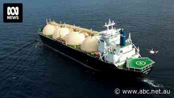 Major $30 billion gas project off WA's coast at risk due to marine environment concerns