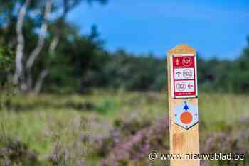 Binnenkort kan je via knooppunten langs de 1.001 vijvers van De Wijers wandelen