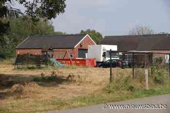 Maaseikenaar en twee Nederlanders in cel voor drugslab in Neeroeteren
