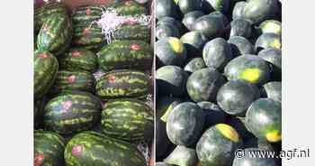 "Via Turkije verkopen we Iraanse watermeloenen naar Europa"