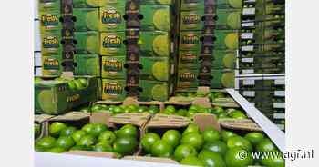 "Colombia biedt ideaal klimaat voor teelt avocado's en Tahiti limes"