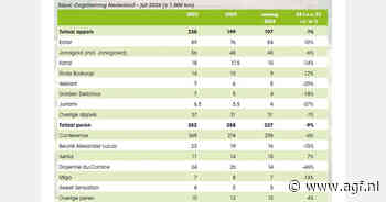 Kleinere Nederlandse perenoogst verwacht, appeloogst vrijwel stabiel