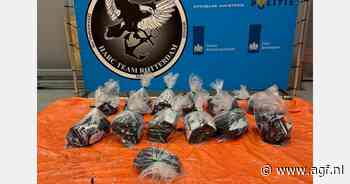 Verschillende partijen cocaïne aangetroffen tussen bananen, avocado's en mango's