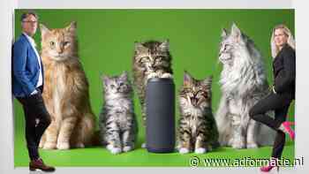 De gezinsuitbreiding van KPN-kat Louis wekt vooral verwarring
