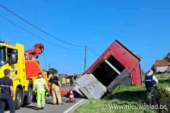 Vier koeien overleven crash met gekantelde vrachtwagen niet