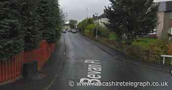 Police appeal after two vehicles set on fire in Nelson
