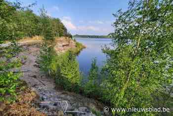 Blauwalg vastgesteld in Put van Rauw