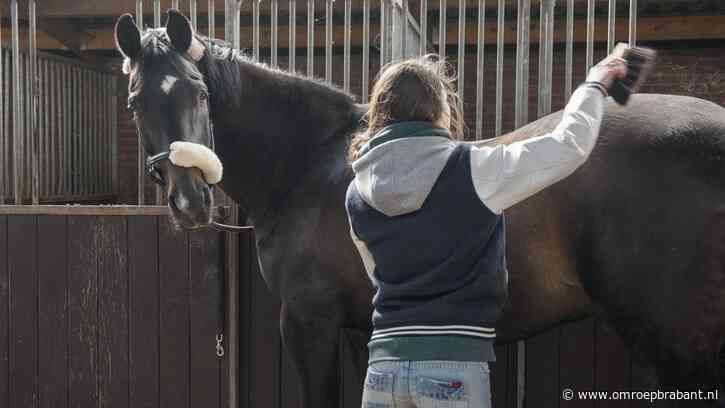 Man bood meisjes (13 en 14) paard aan voor ontucht: celstraf