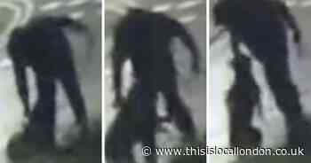 Met Police seize Dagenham 'XL Bully' dog after CCTV captured attack
