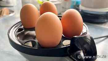 Auch für andere Lebensmittel: Verfahren entlarvt falsche Bio-Eier