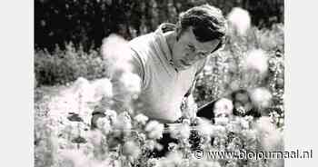 In memoriam Jan Diek van Mansvelt