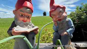 Wettbewerb: Das sind die schönsten Juli-Bilder