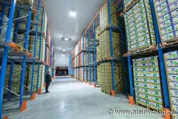 Amerikaanse logistieke reus neemt overslagbedrijf Luik Natie over