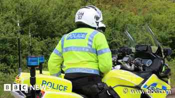 Dog destroyed after it bit girl on the arm