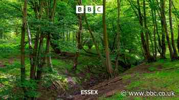 Historic park in Nazeing to be restored
