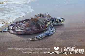 Thomas Cook and ocean charity spotlight inflatables' environmental impact