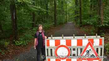 Unruhe im Wolfenbütteler Friedwald – neue Wege im Lechlumer Holz
