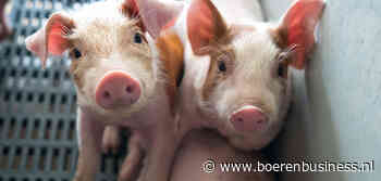 Biggenafzet blijft een moeilijk verhaal