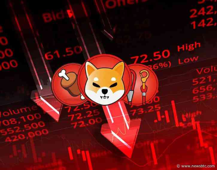 Why Is The Shiba Inu Price Crashing Today?