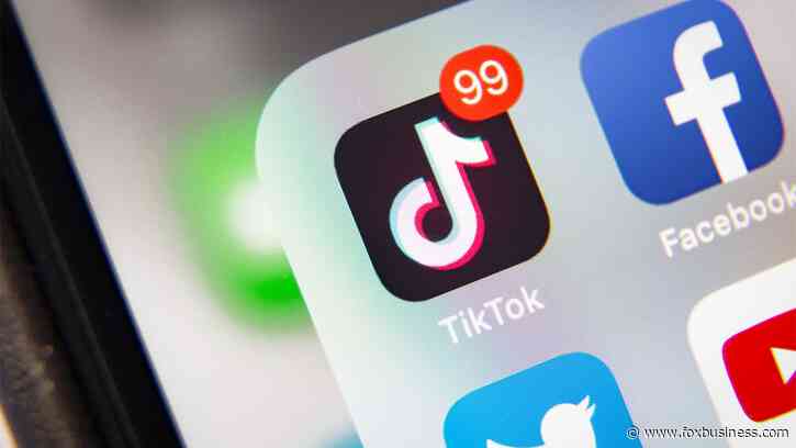 TikTok hit with federal lawsuit over 'massive-scale' violations of children's privacy