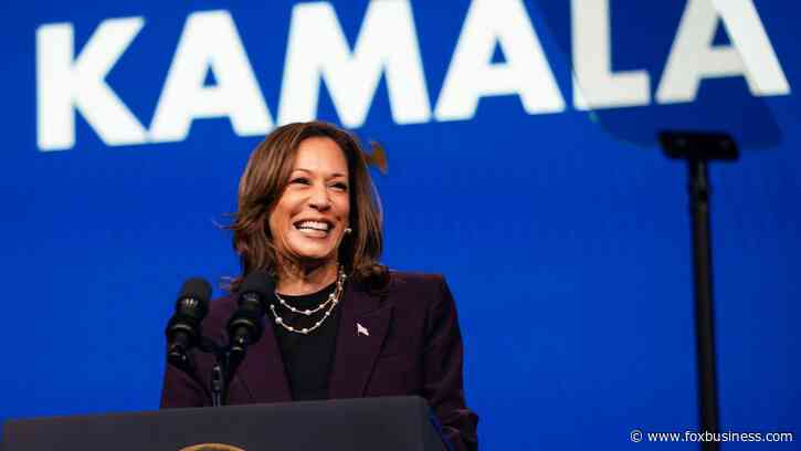 UAW president reveals his top 2 picks for Kamala Harris’ VP: ‘Best for working class people’