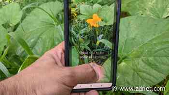 You can now use Google Lens with your voice to search. Here's how - and why it's so useful