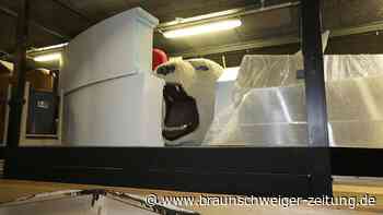 Theater Wolfsburg: 16 Einblicke, die Gästen verborgen bleiben