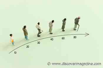 Rate of Biological Aging Is Accelerating In Young People, Leading To Medical Issues