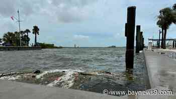 Team Coverage: High tide in Dunedin's St. Joseph Sound, heavy rain in Big Bend