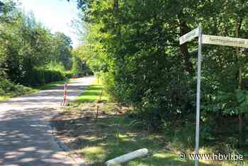 Eerste fase werken Lijsterstraat en omgeving van start, met prijskaartje van ruim 3,7 miljoen euro