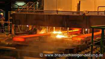 Zu wenig Grün – Stadt und Umweltschützer bewerten Peine