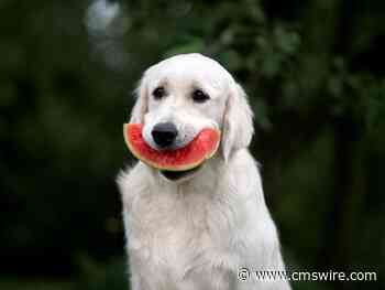 Dogfooding Done Right: Improve Customer Satisfaction with Employee Feedback