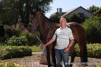 Paard met zilveren medaille werd geboren in Pelt: “Veel telefoons of ik nog zo’n veulen heb”