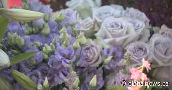 From tragedy to flowers: How a B.C. family is healing and helping others