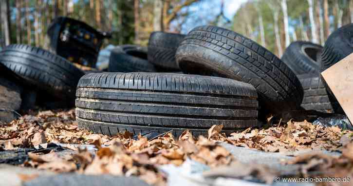 Schutt, Farben und Reifen – Müll im Wald wird zum Problem