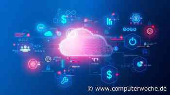 Foundry Studie FinOps: Wie sich mit FinOps Cloud-Kosten bändigen lassen