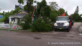 Crews work to clean up after Debby in St. Petersburg