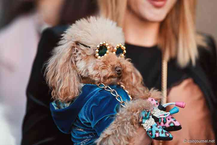 Poodlana ignores the crypto sell-off as token sale nears $5 million