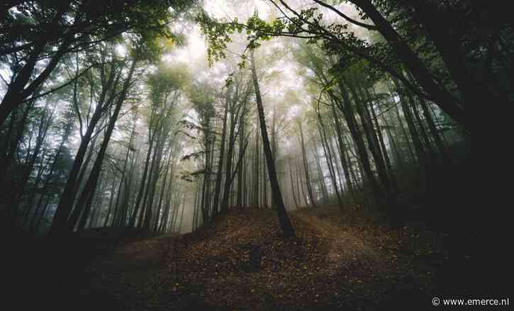 Bol: ‘Wij maken circulair winkelen mainstream’