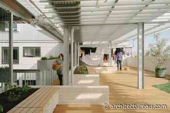 Architects behaving differently