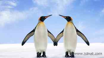 5 Linux commands for troubleshooting connectivity issues