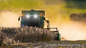 Tarwe houdt stand koolzaad de grote verliezer