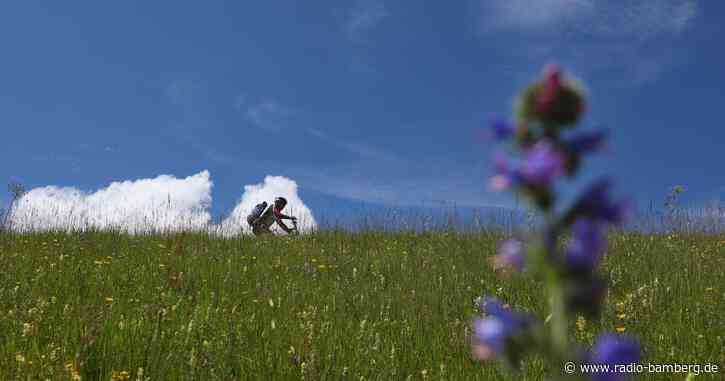 Outdoor-Apps könnten beim Naturschutz helfen