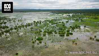 Mining company launches legal action after failed bid to extend uranium mine lease near Kakadu